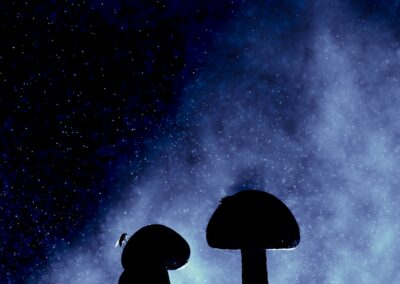 Petite mouche posée sur un duo de champignons devant la voie lactée